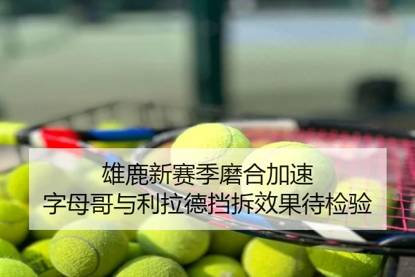 雄鹿新赛季磨合加速 字母哥与利拉德挡拆效果待检验