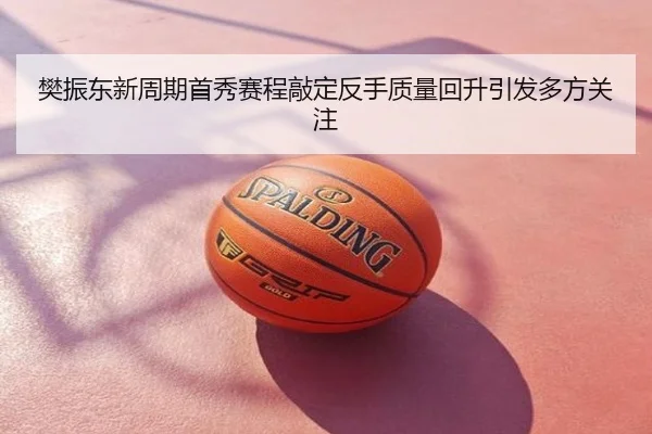 樊振东新周期首秀赛程敲定反手质量回升引发多方关注